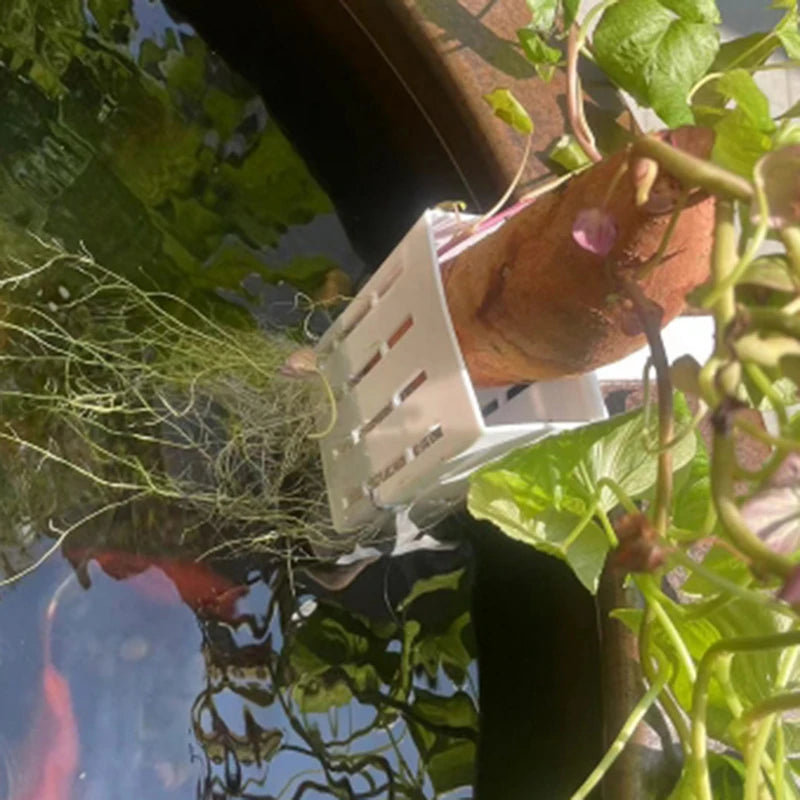 Wall-Mounted Aquarium Plant Basket with Hanging Hook