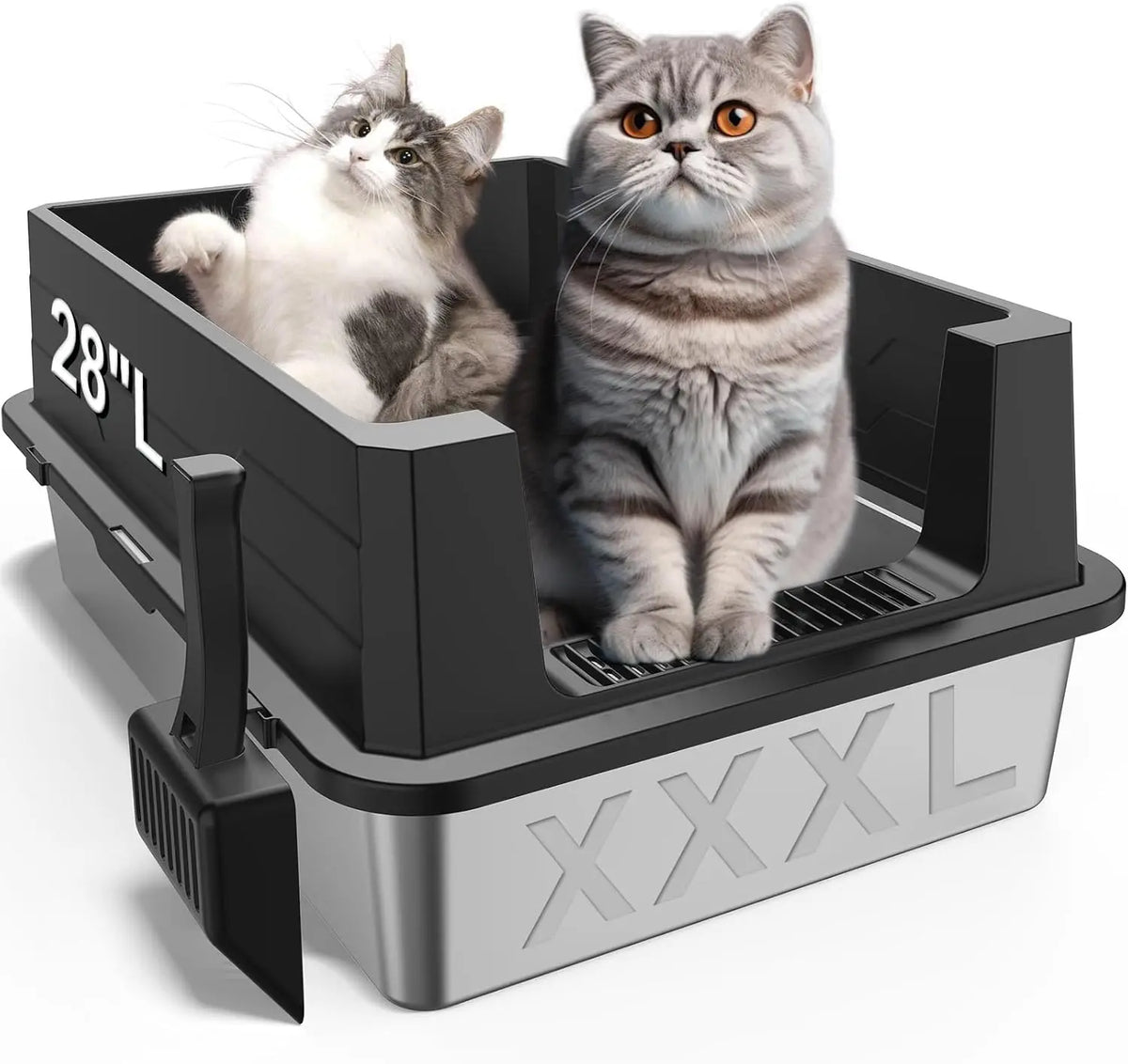 Un chat gris et blanc duveteux est assis dans une litière noire extra-grande avec un plateau en acier inoxydable.