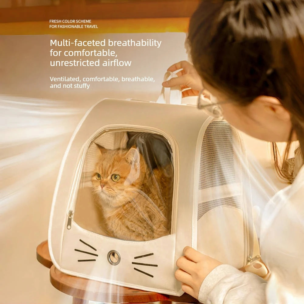 Eine Person hält einen weißen, faltbaren Transportrucksack für Haustiere mit transparentem Fenster, in dem eine Katze ist.