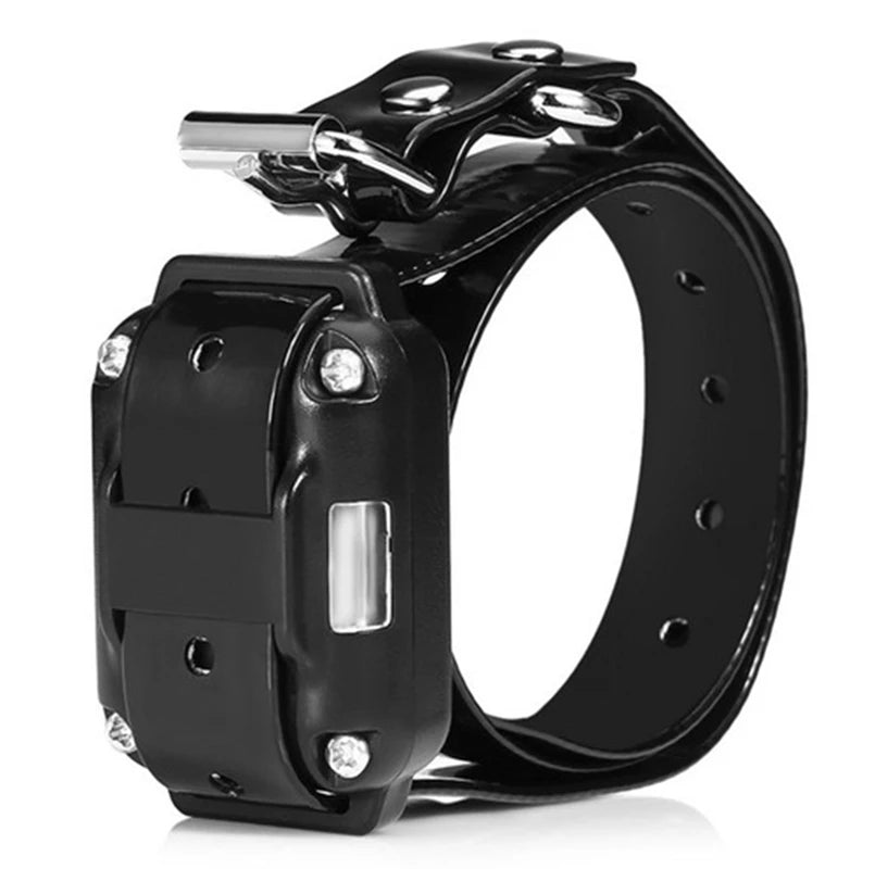 A black electronic dog training collar with a buckle and strap is shown against a white background.