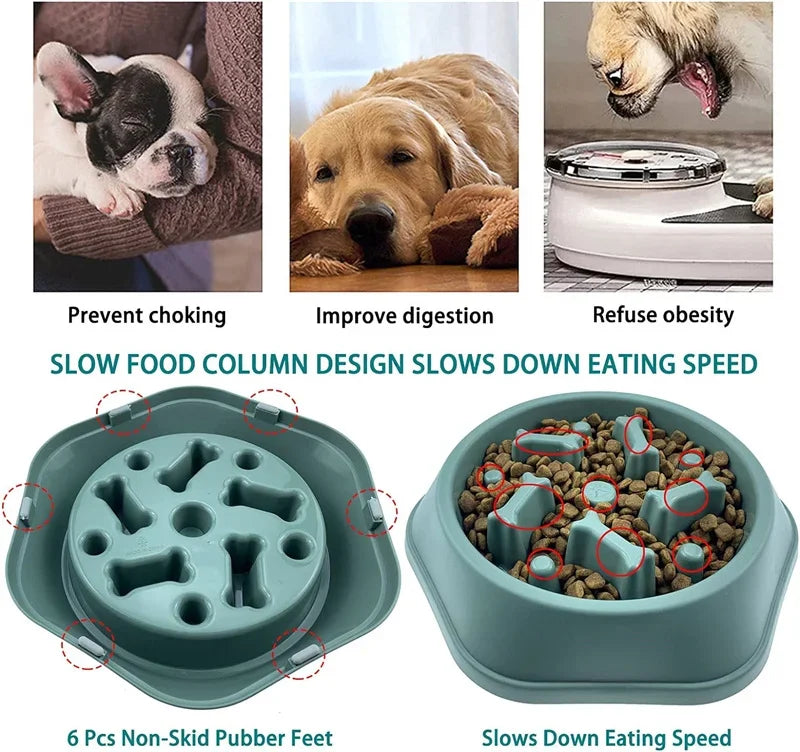 Slow Feeder Dog Bowl with Non-Slip Base