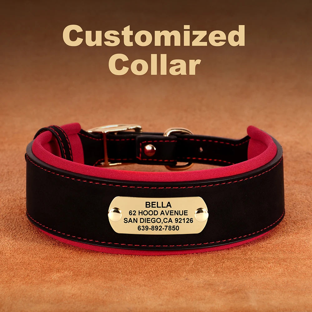 A black leather dog collar with a gold buckle and a custom name tag engraved with the name Bella.