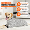 Goldener Hund mit gestreiftem Winterpullover drinnen, mit Text über Nutzungen für Hunde im Winter.