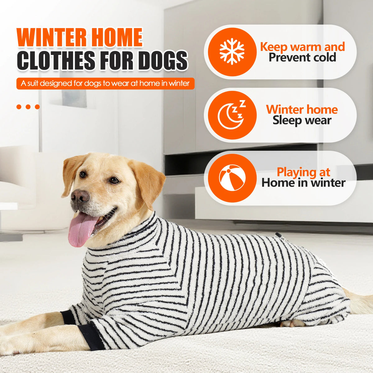Goldener Hund mit gestreiftem Winterpullover drinnen, mit Text über Nutzungen für Hunde im Winter.