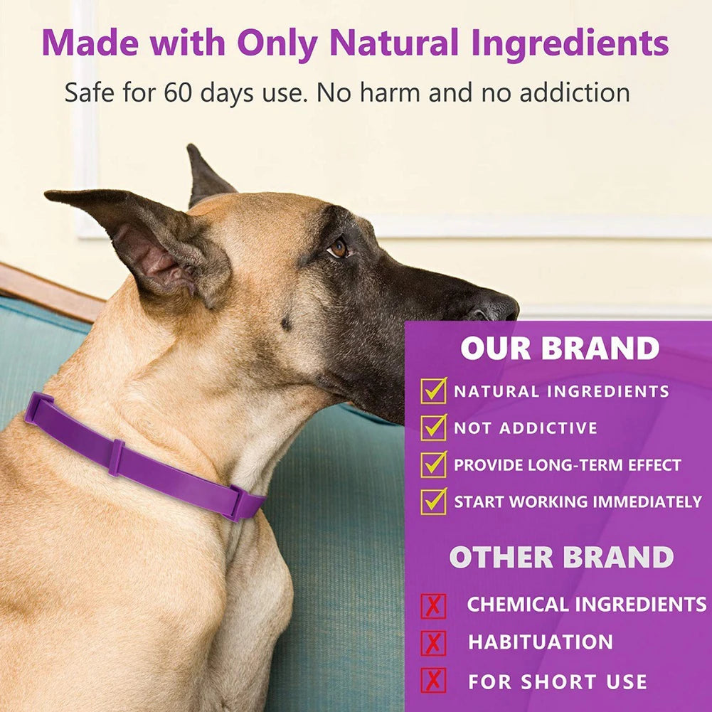 A dog wearing a purple pheromone collar is shown next to text emphasizing natural ingredients and long-term effects.