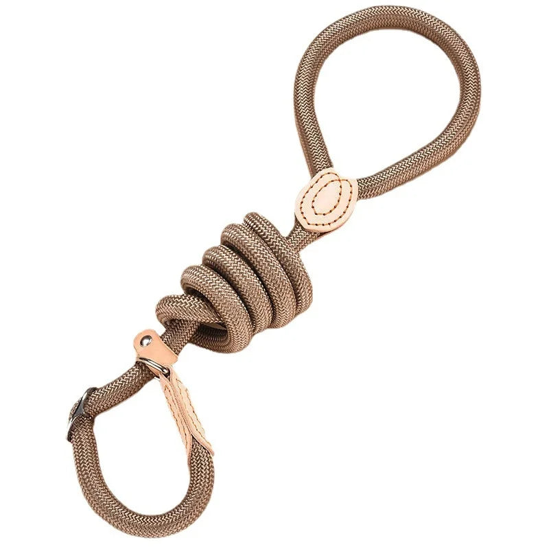 Robbe, verstellbare Nylon-Hundeleine