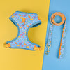 A blue pet harness with a matching orange leash is displayed on a yellow and blue background.