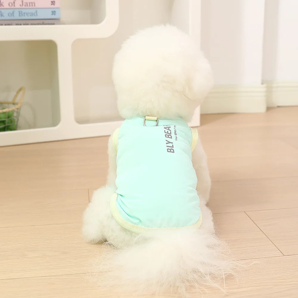 A white dog wearing a light blue cooling vest with black lettering, sitting on a wooden floor.