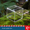 A clear acrylic spider box rests on mossy terrain, showcasing a natural habitat for small creatures.