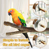 Natural Wood Forked Bird Perch for Small Parrots