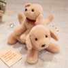 A light tan realistic Labrador plush toy lying on a beige carpet with a credit card visible nearby.