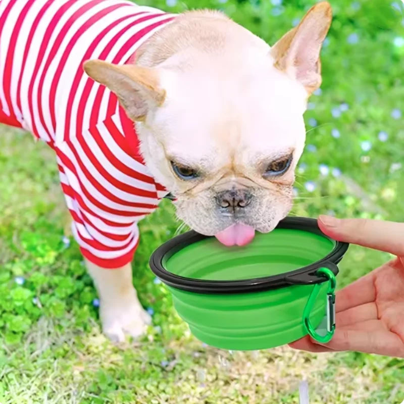 A light-colored French Bulldog is licking a green silicone collapsible pet travel bowl held by a person's hand.