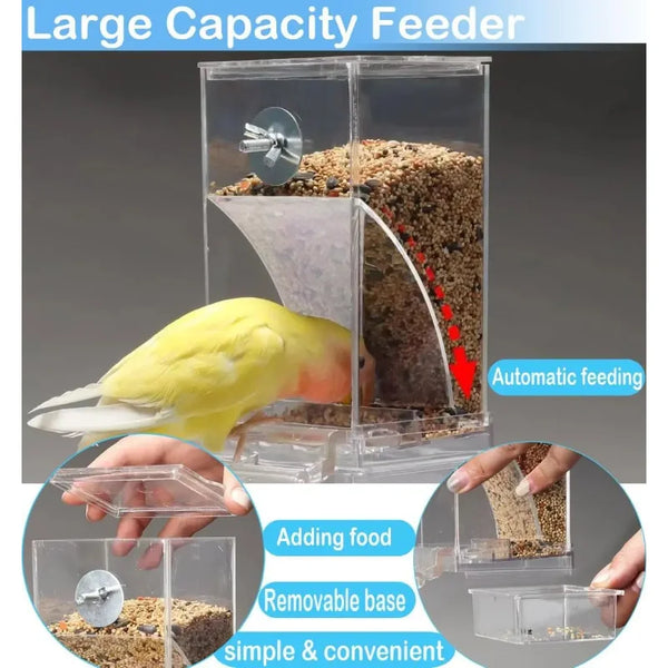 Large capacity clear acrylic automatic bird feeder with a perch and removable base