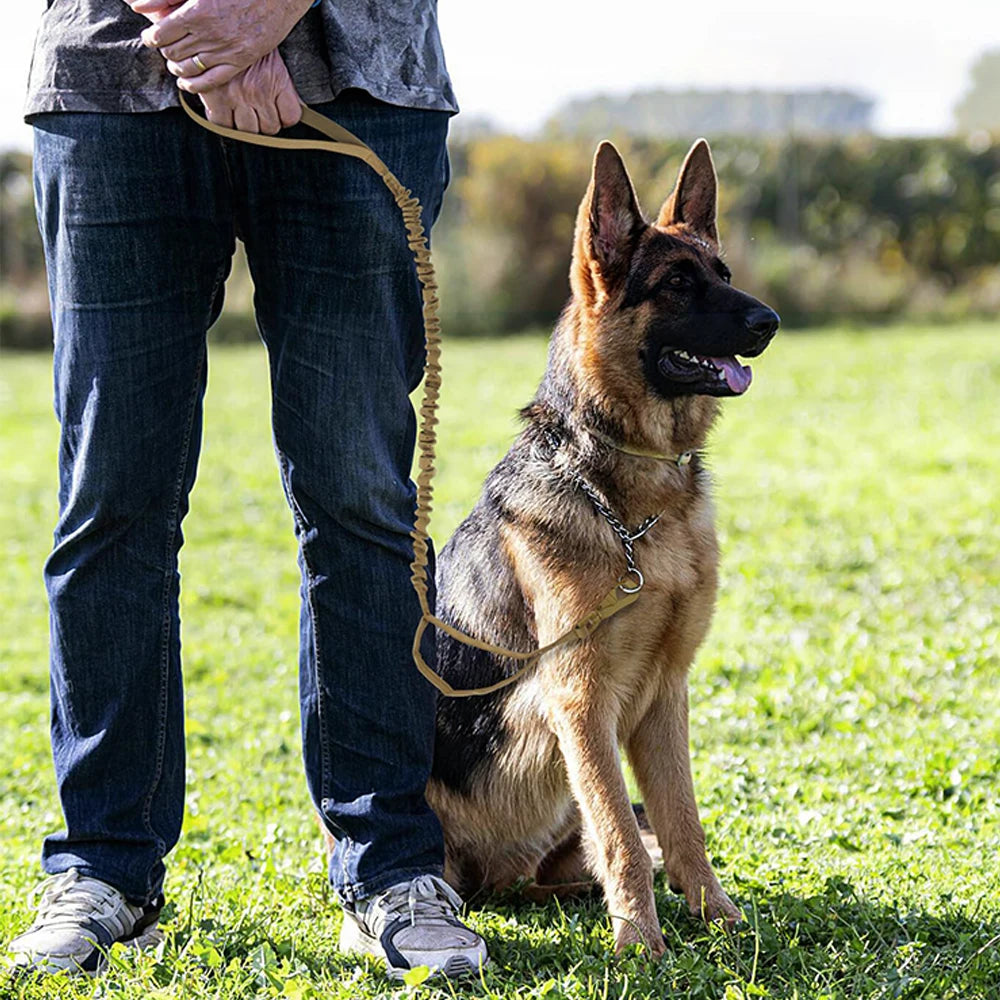 Tactical Dog Leash with Dual Handles and Shock-Absorbing Bungee