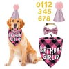 A golden retriever wearing a pink glitter party hat, bandana, and bow tie set for a birthday celebration.