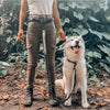 Hands-Free Dog Waist Leash with Lumbar Support and Reflective Bungee