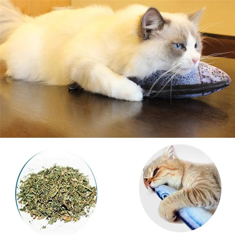 Catnip-Filled Plush Fish Toy 5-Pack for Cats and Kittens