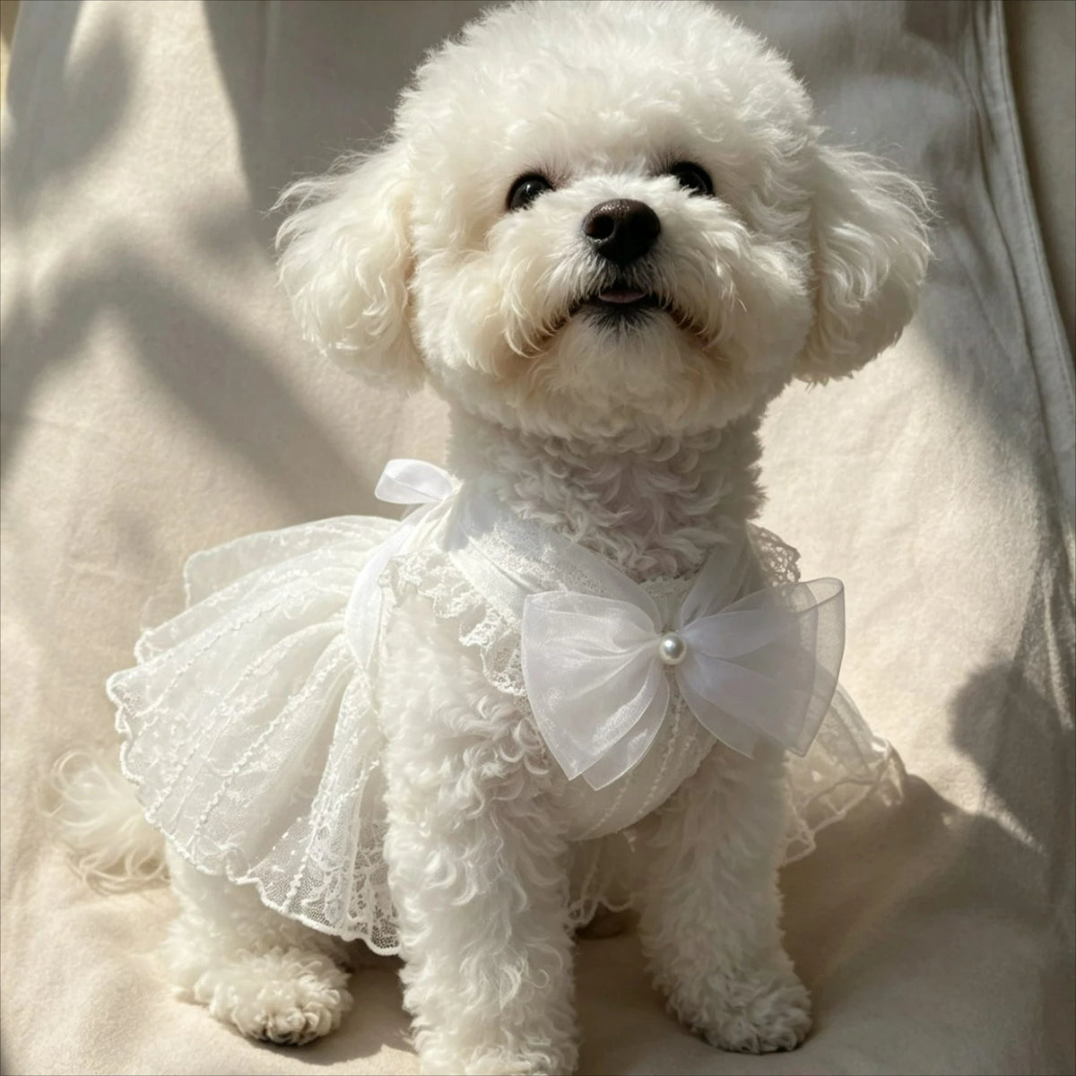 Adorable Princess Dress for Small Dogs and Cats