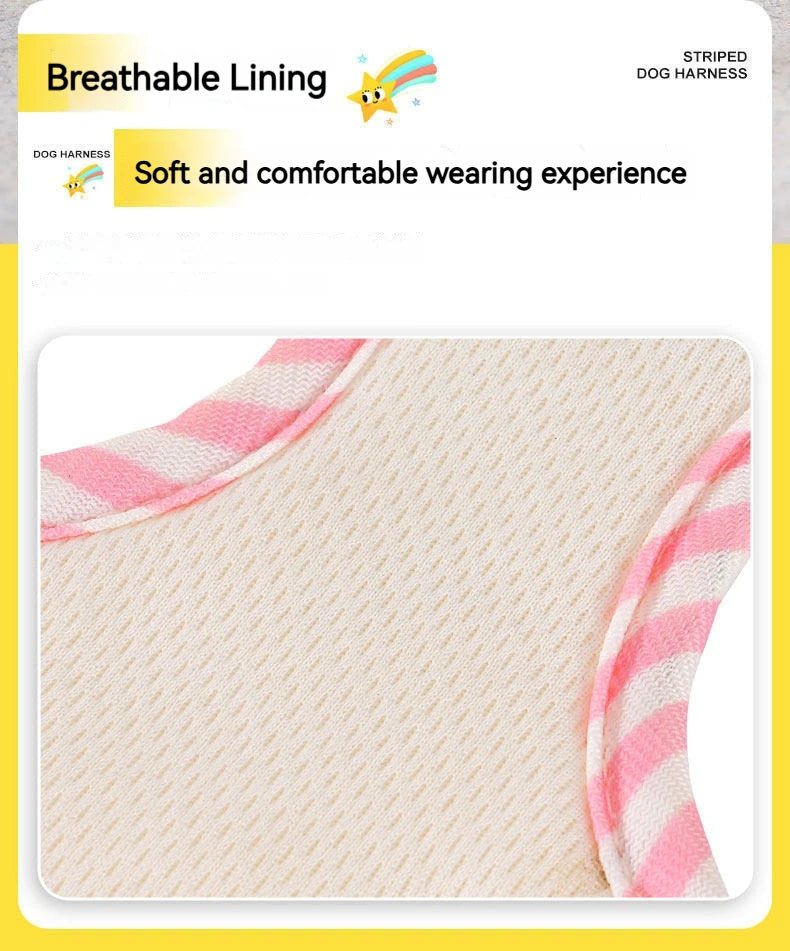 Striped Color-Block Dog Harness with Matching Leash