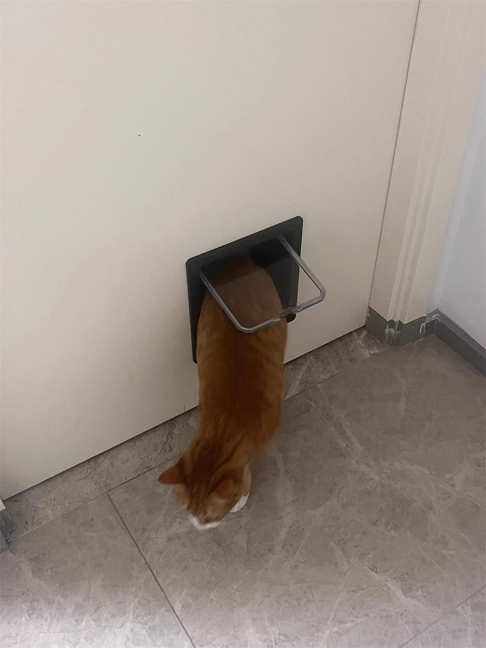 Weatherproof Pet Door Flap with 4-Way Locking Security