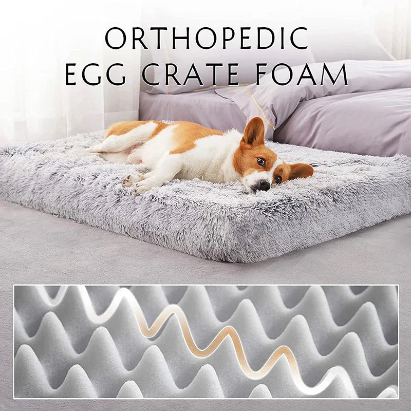 Orthopedic egg crate foam pet bed for dogs and cats with a fluffy orange and white dog resting on it.