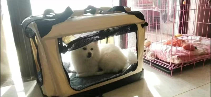 Transportín Plegable para Mascotas con Interior Acolchado