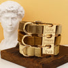 Personalisiertes Halsband, Geschirr & Leine Set mit abnehmbarem Fliegenknoten