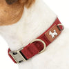 Padded Quick-Release Dog Collar for All Breeds
