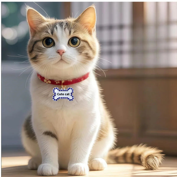 A fluffy tabby cat wearing a red collar with a blue custom engraved pet ID tag.