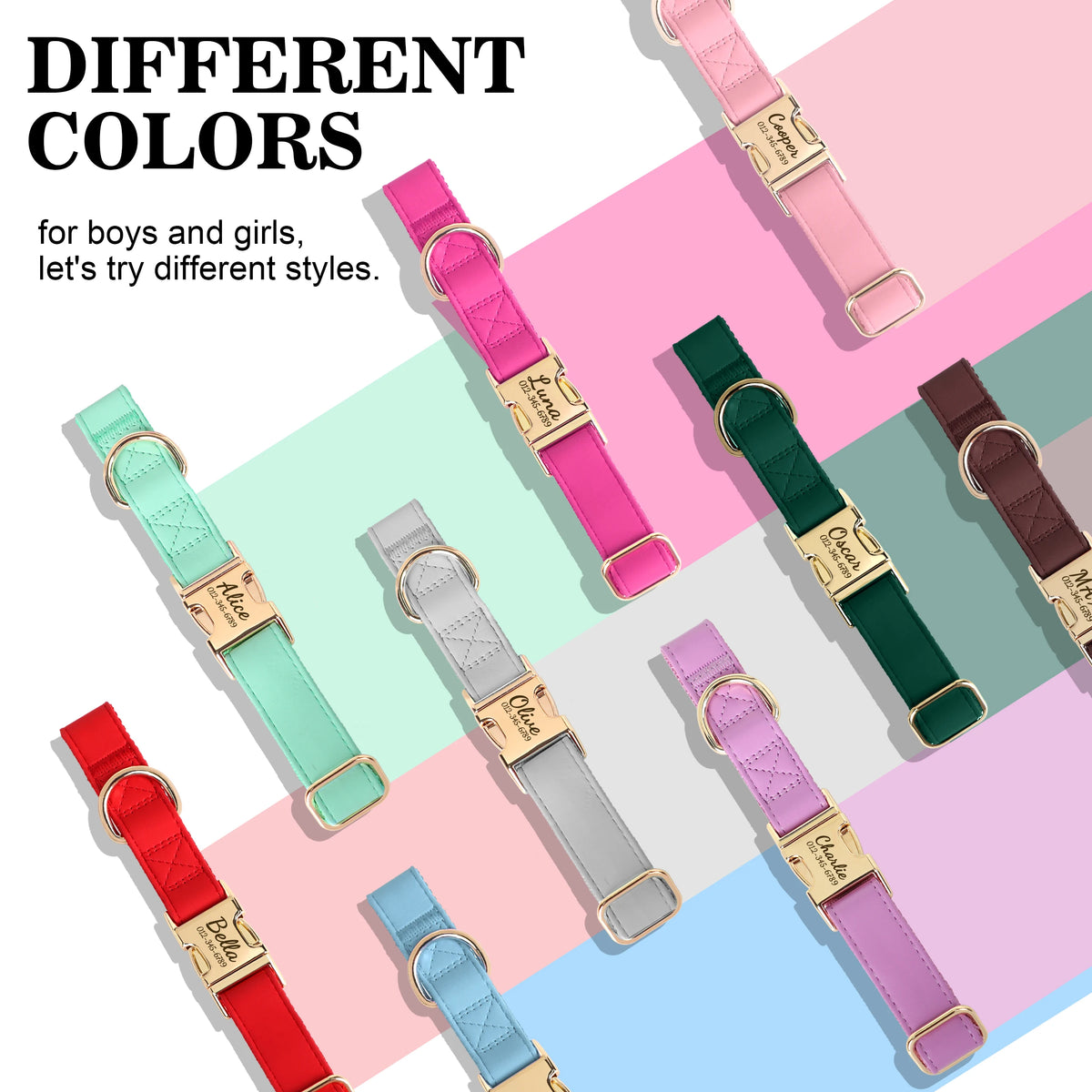 A variety of custom engraved leather dog collars in pink, green, red, and blue colors for boys and girls.