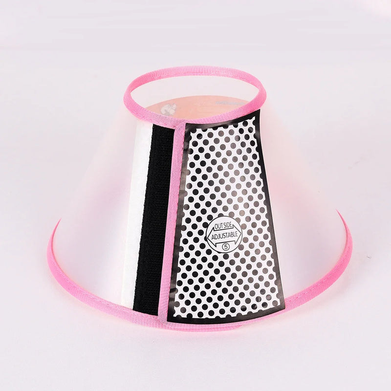 Collier de récupération ajustable pour animaux