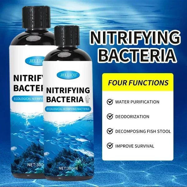 Bactéries nitrifiantes liquides 300ml pour le traitement de l'eau d'aquarium