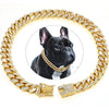 Luxuriöser goldener Cuban-Kettenschal für Haustiere mit dicker, diamantbesetzte Kette und goldener Schnalle.