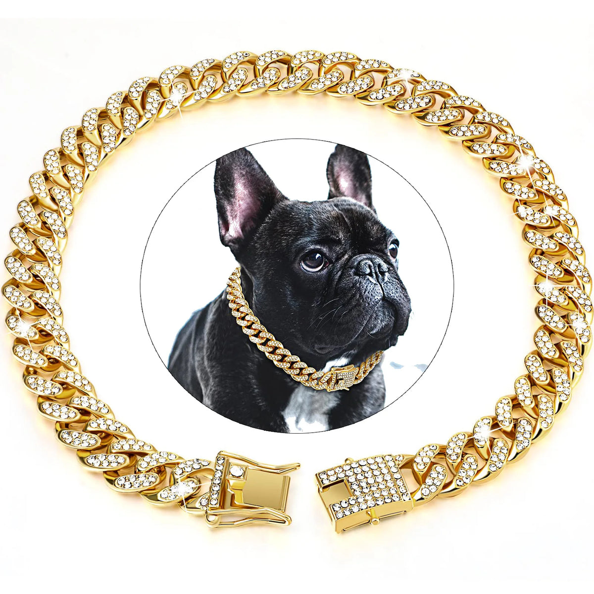 Luxuriöser goldener Cuban-Kettenschal für Haustiere mit dicker, diamantbesetzte Kette und goldener Schnalle.
