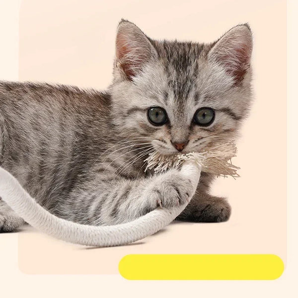 A fluffy gray kitten is playing with a white cotton rope toy.