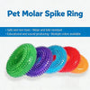 Bite-Resistant Squeaky Dog Chew Toy with Spiky Teething Ring