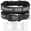 Personalisierte bestickte Nylon-Hundehalsband