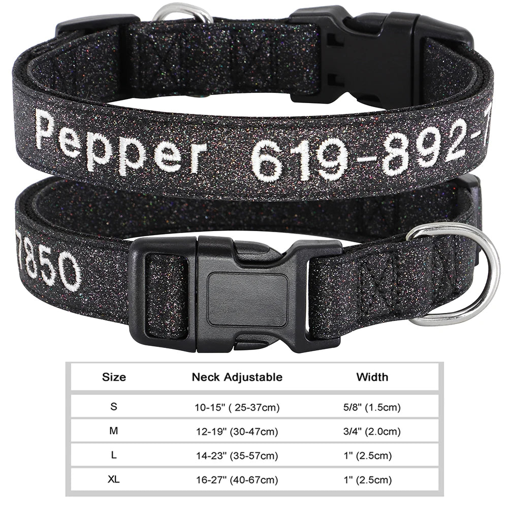 Black nylon dog collar with silver buckle and embroidered text on the strap