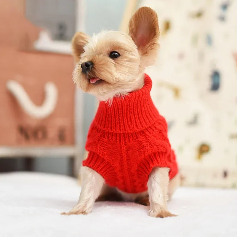 Suéter Tejido Acogedor para Perro