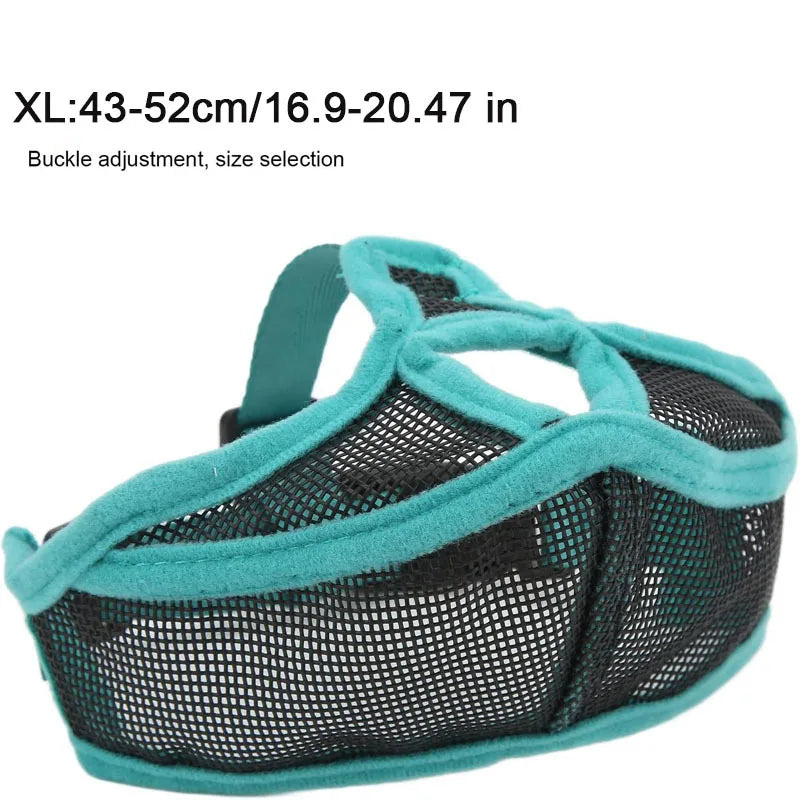A teal mesh dog muzzle with black accents shown from above.