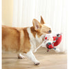 A brown and white dog is interacting with a plush squeak toy shaped like Santa.