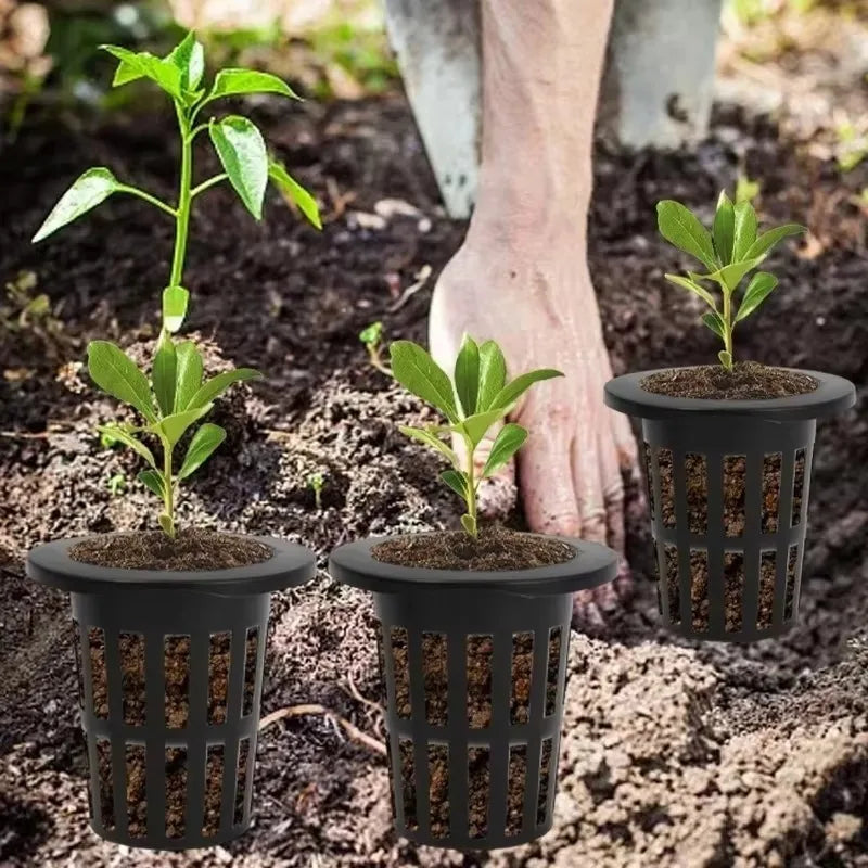 Three black mesh net pots containing small green plants are shown in soil on a person's hand.