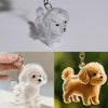 Transparent Pet Hair Keepsake Charm for Keys