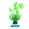 A vibrant green aquatic plant with large leaves is shown growing in a pot.