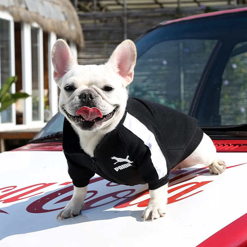 Chaqueta de Béisbol para Perros