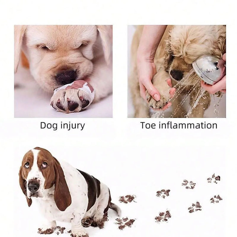 Calcetines Antideslizantes para Perros: Protección para las Patas