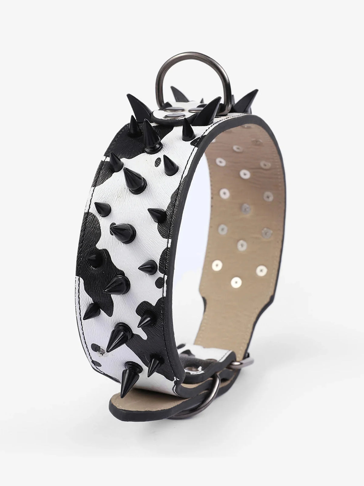 A black and white spiked leather dog collar for large breeds.