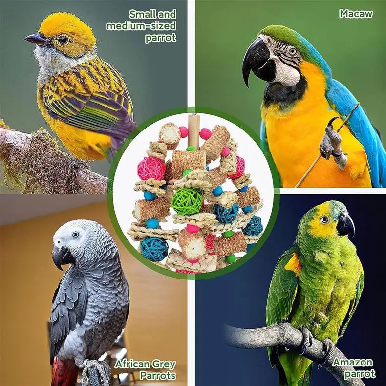 A collection of various parrot toys including a small and medium-sized parrot, a macaw, African grey parrots, and an Amazon p