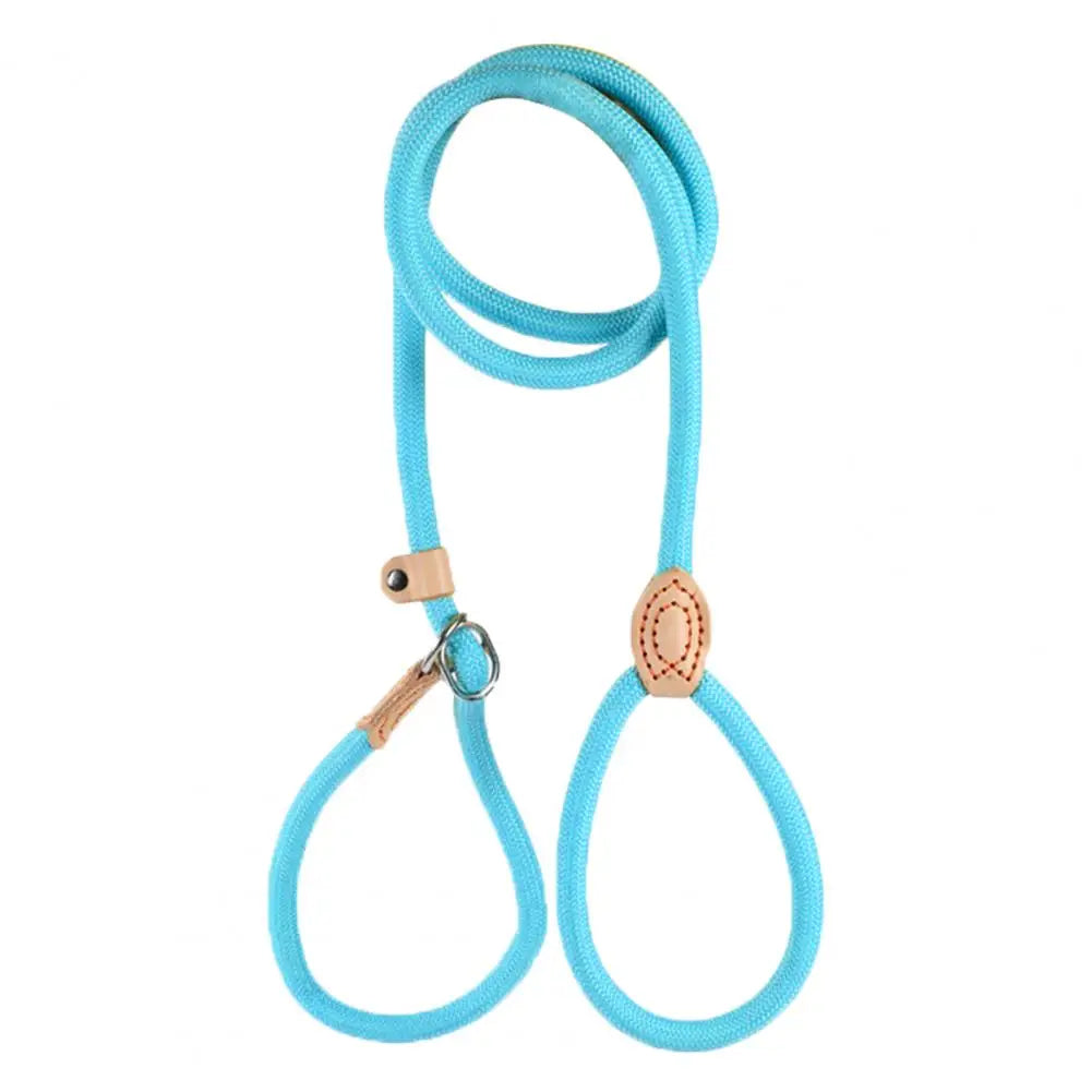 A light blue heavy duty slip lead dog leash with an adjustable stopper.