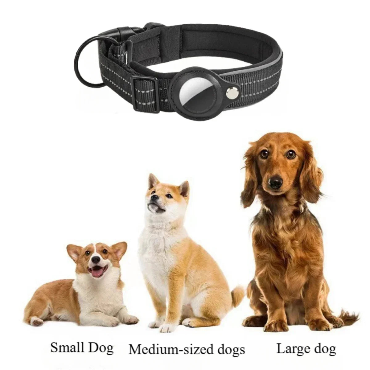 A black reflective dog collar with a padded design is shown next to small, medium, and large dogs.